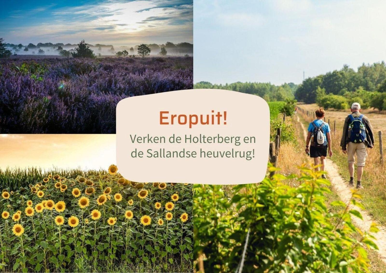 Vakantiepark Hoelte Rijssen Bagian luar foto