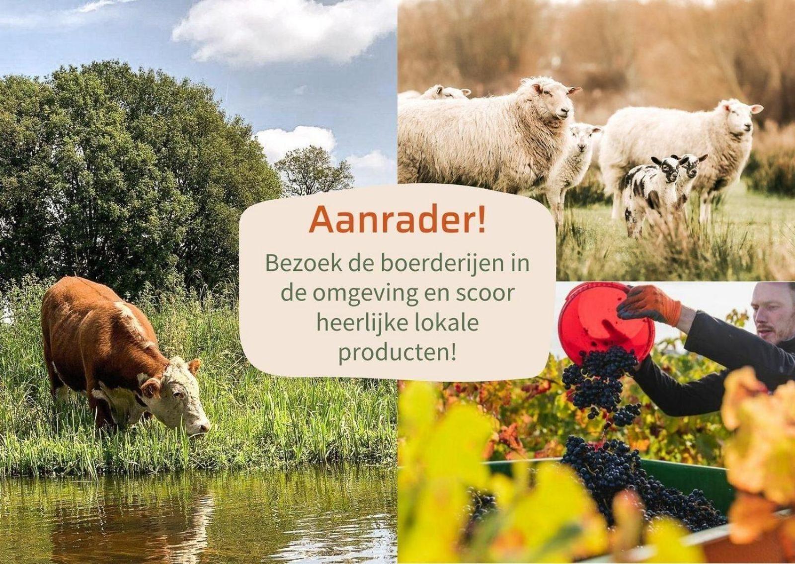 Vakantiepark Hoelte Rijssen Bagian luar foto